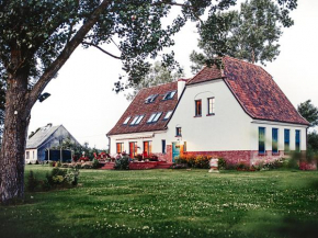 Stara Szkoła Browina, Browina